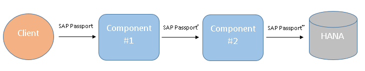 SAP Passport overview diagram